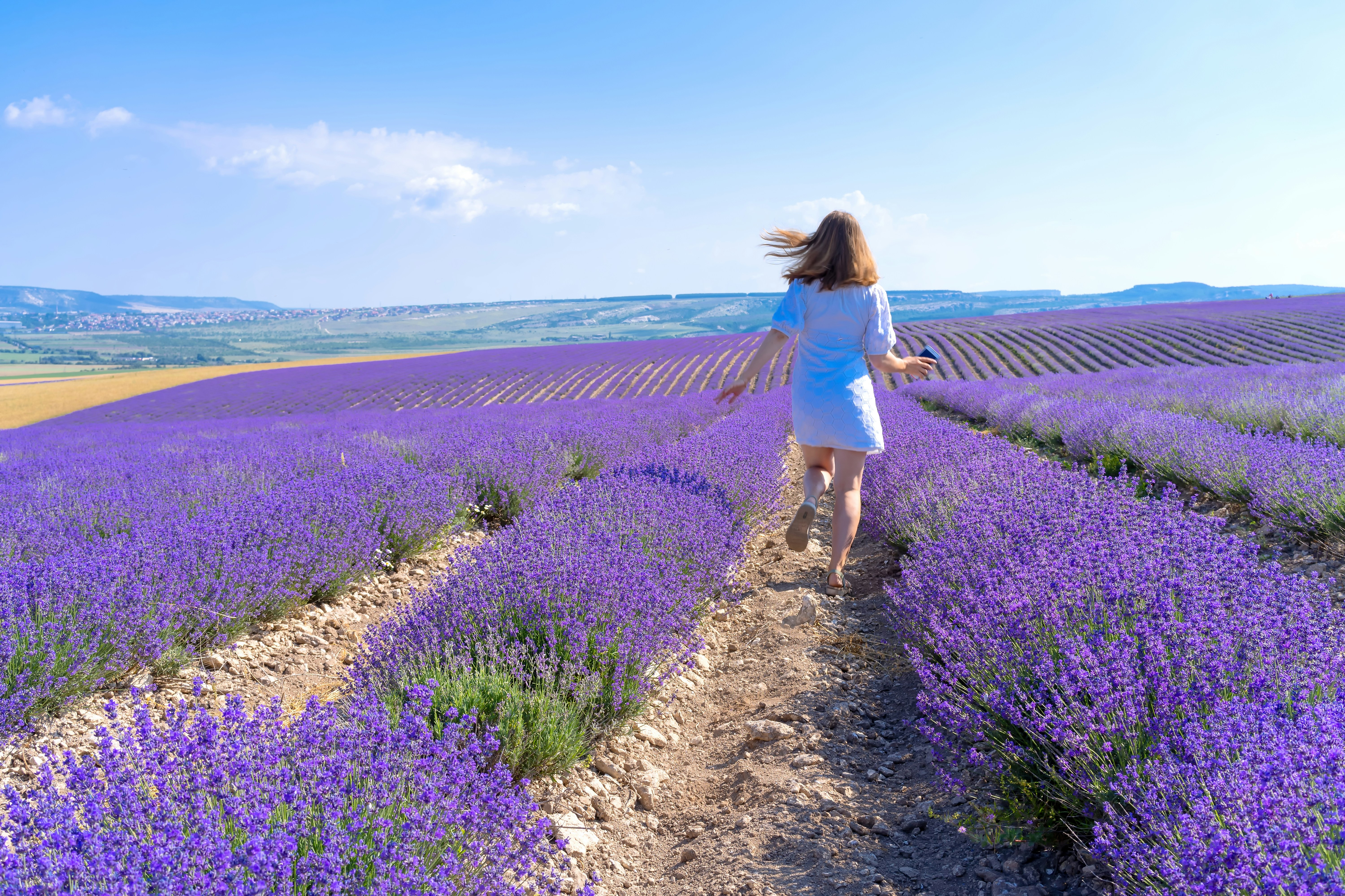 Retire in France surrounded by Provence's iconic lavender fields and Mediterranean sunshine. Photo by Alexey Fedenkov.